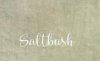 Saltbush