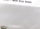 Snow Star Spring Button Set