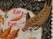 Year In The Woods 10 - The Little Brown Bat