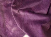 Purple Onion Velveteen